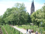 100_1354