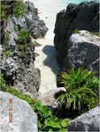 dscn0237