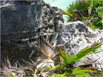 dscn0241