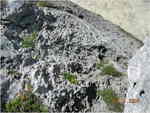 dscn0242