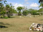 dscn0246