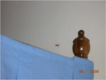 dscn0266