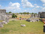 lynn-dscn1247
