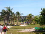 lynn-dscn1254