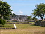 lynn-dscn1276