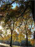 dscn0352