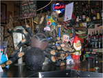 dscn0488