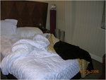 dscn0546