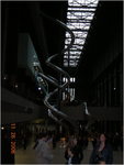 dscn0554