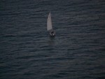 101_0454