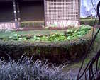 Image017
