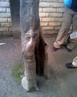 Image026