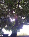 Image027