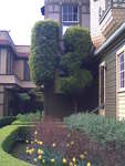 Image029