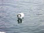 100_0760