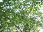 100_0771